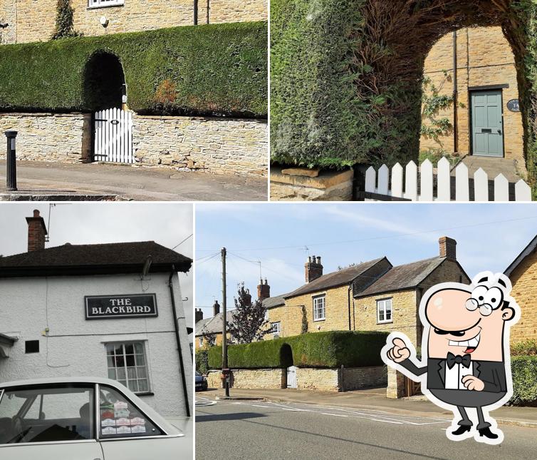 The Blackbird Inn