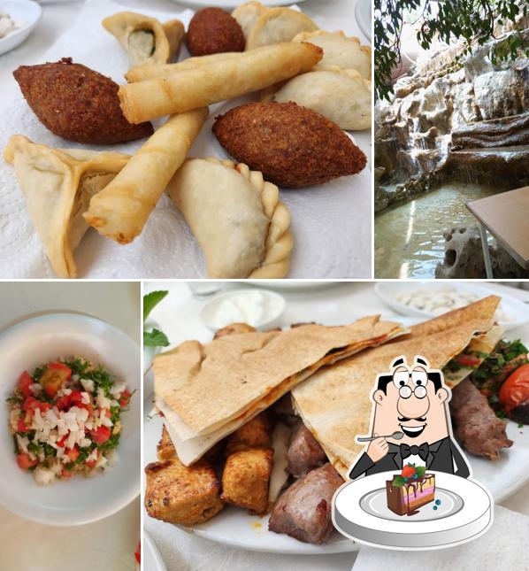 ديارنا الخضرا Diarna El Khadra