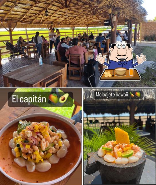 PALAPA POCHOLO COREREPE