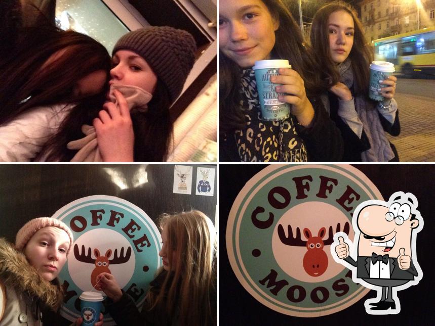 Coffee Moose
