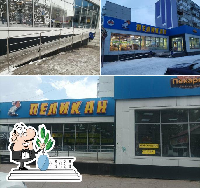 Белый пеликан