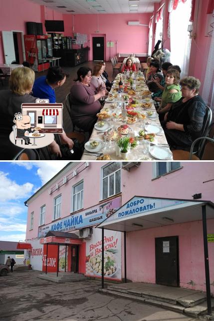Чайка