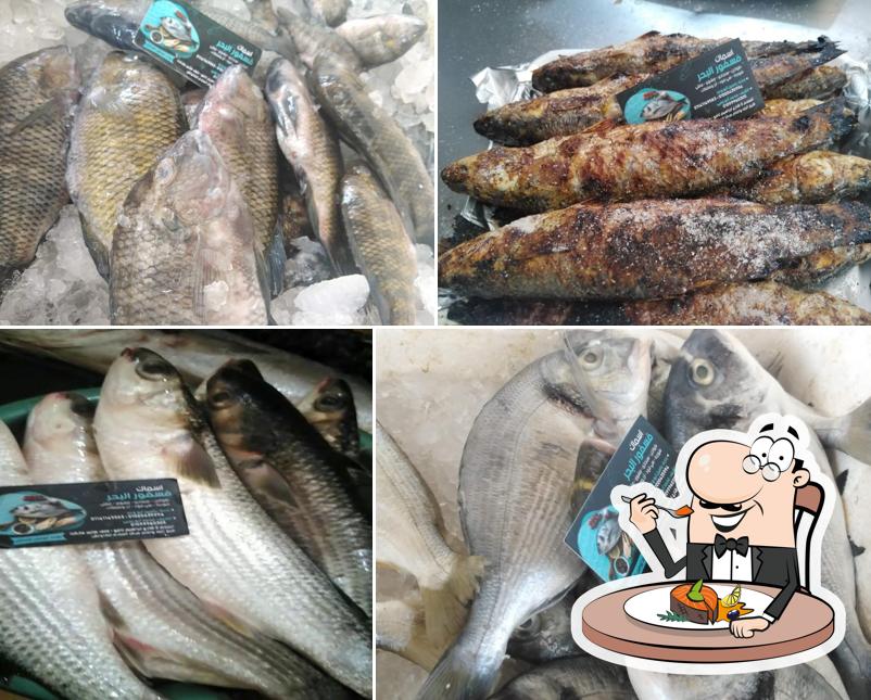 اسماك فسفور البحر
