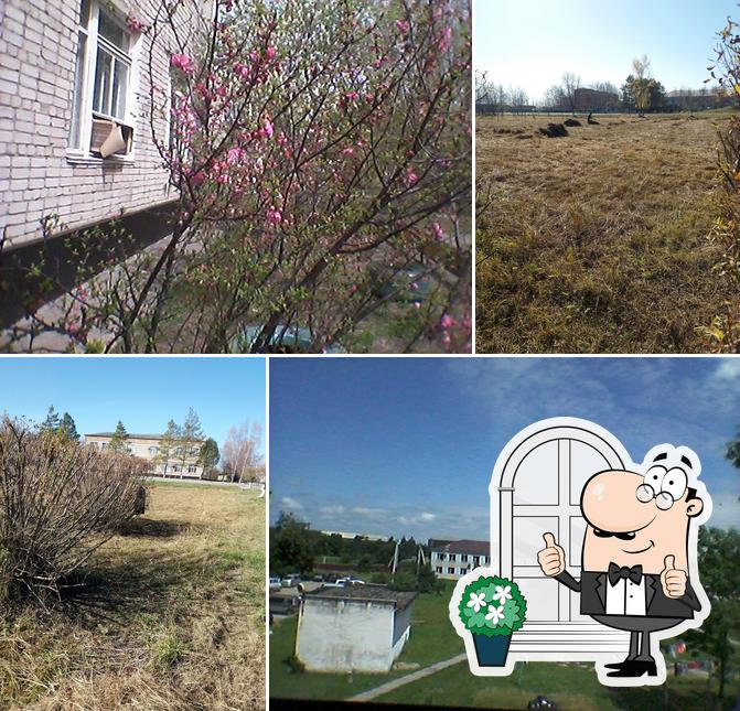 Столовая Арз