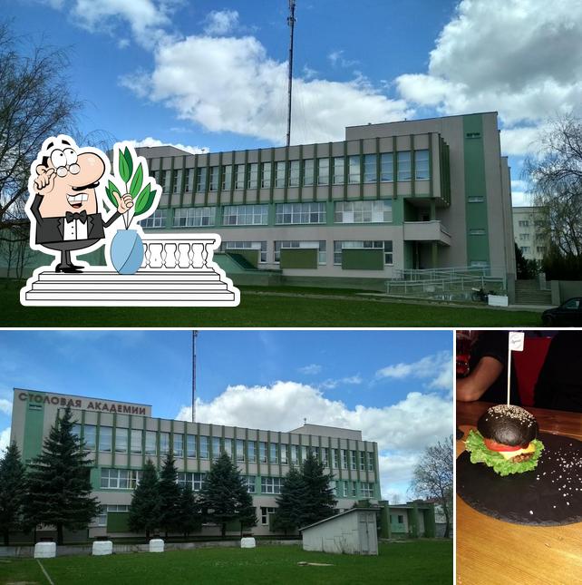 СТОЛОВАЯ БГСХА