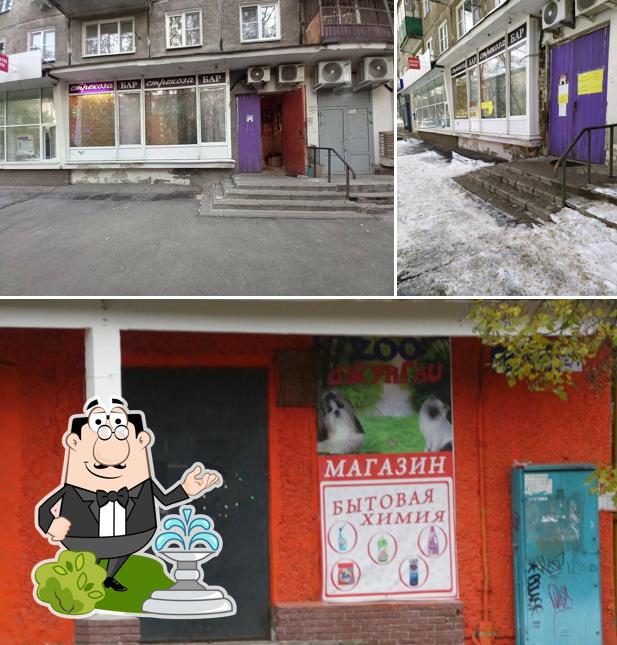 Стрекоза