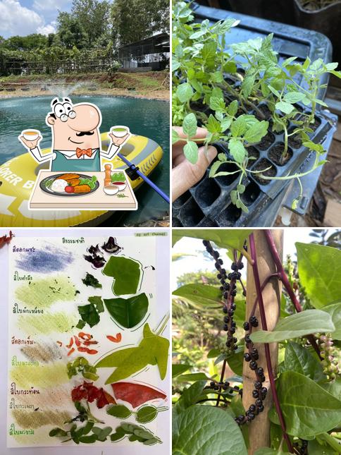 บ้านทอฝัน nature place