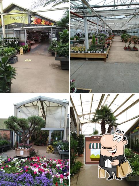 Flowerland