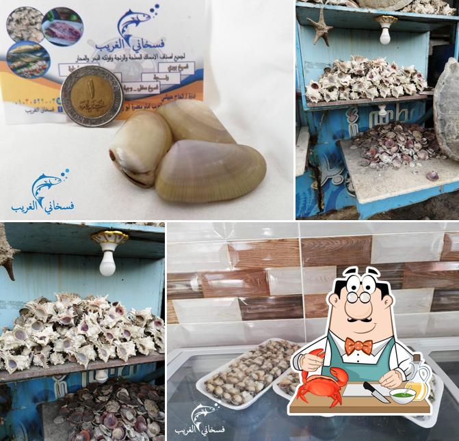 Elghareb Salted Fishes