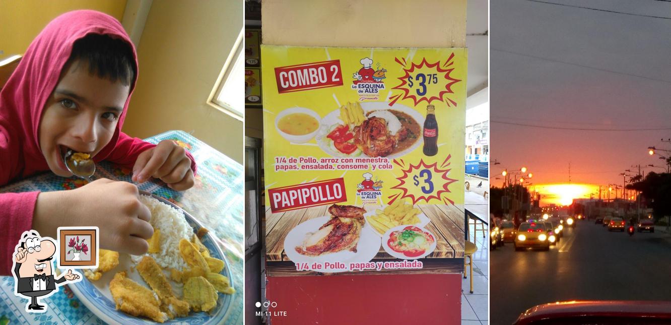 Pollos de Ales