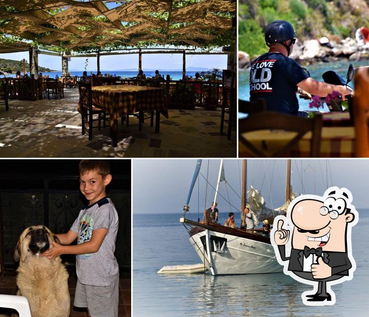Taverna Haravgi