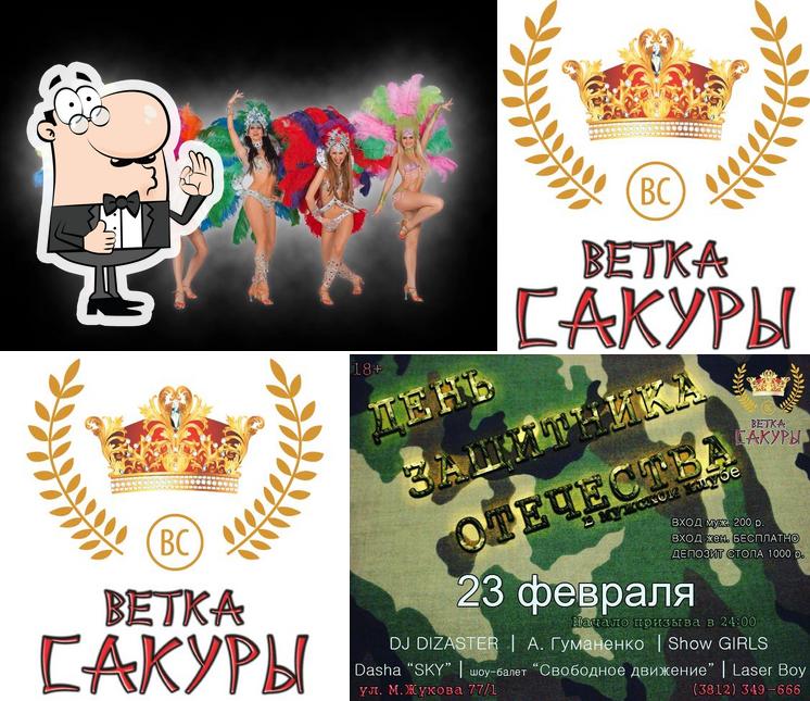 Ветка Сакуры