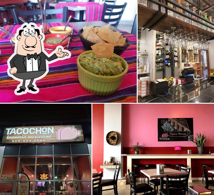 Tacochon Restaurant Mexicain