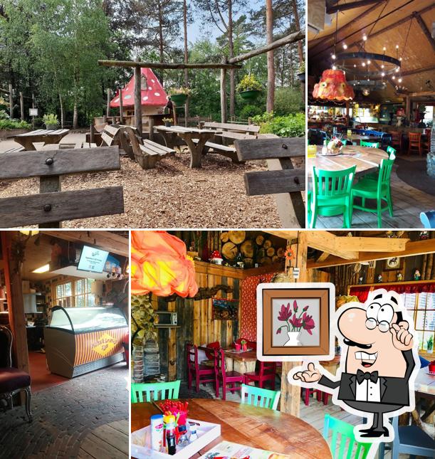 Het Grote Kabouterbos