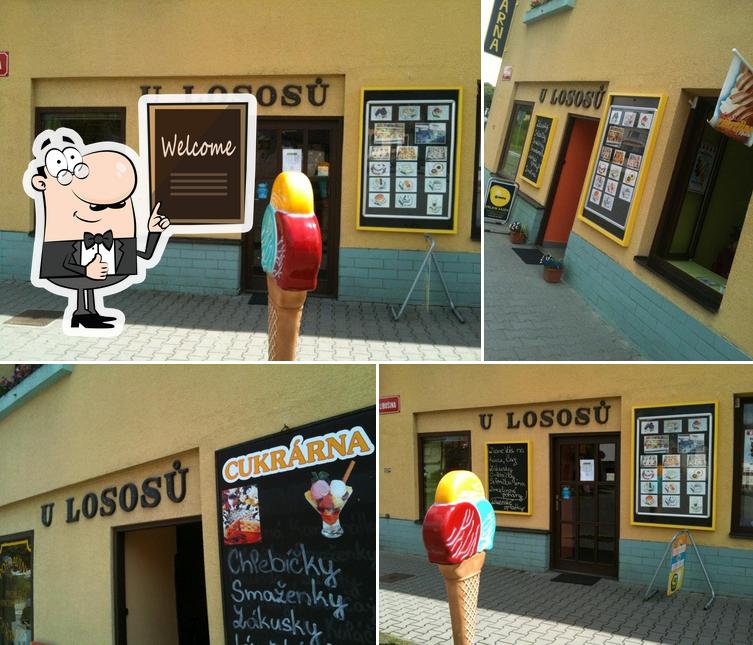 U Lososů