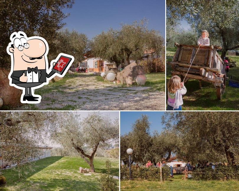 Farmhouse Solengo