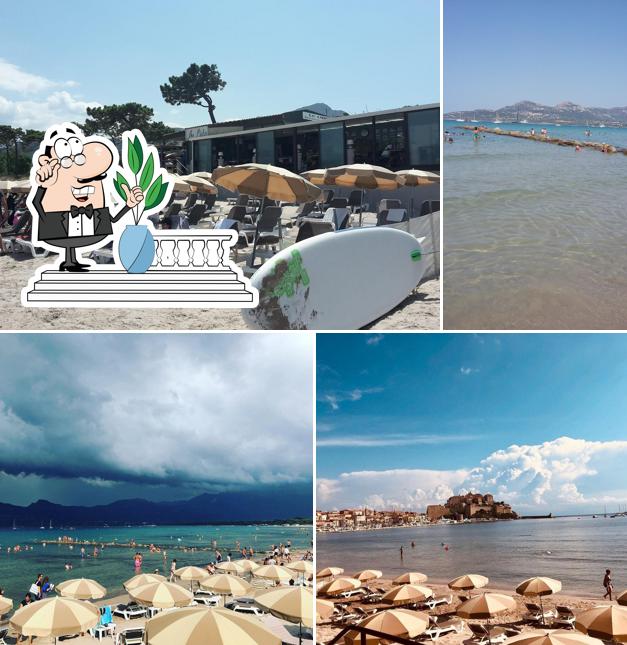 Le Lido