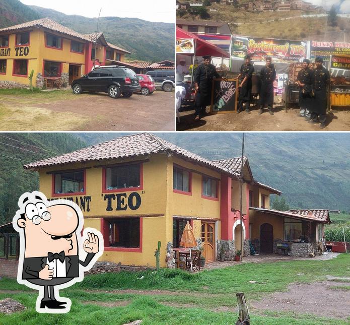 Teo