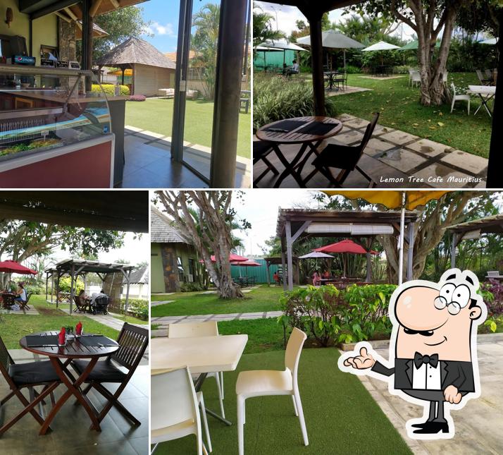 The Lemon Tree Café