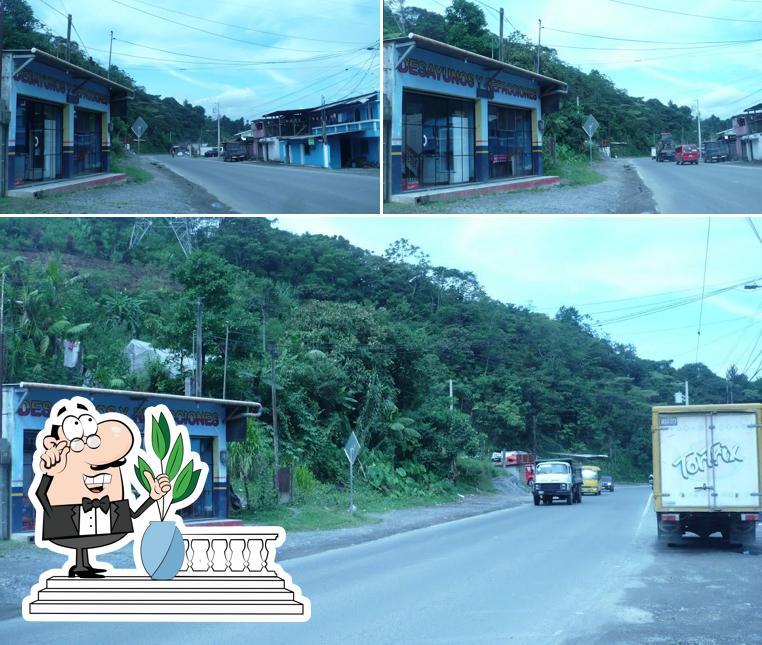 Pollolandia