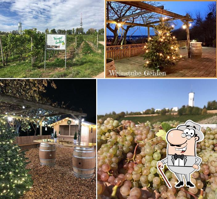 Weingut Weinstube Gehlen