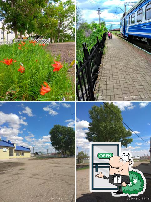 КАФЕ, TIR PARKING "ОЛИМП"