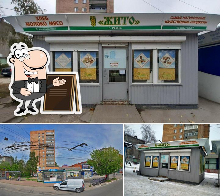 Жито