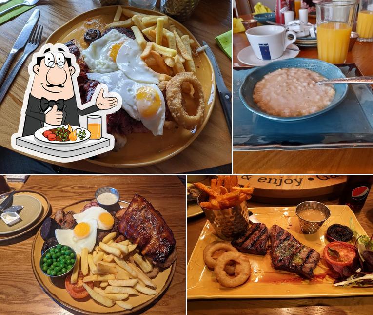 Harvester Dog Redditch
