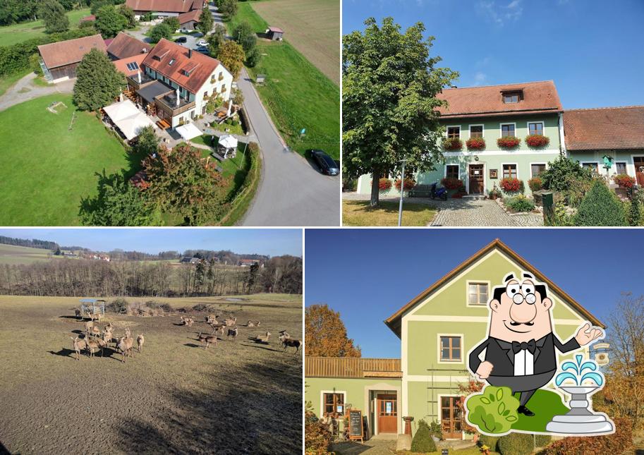 Scheidlerhof
