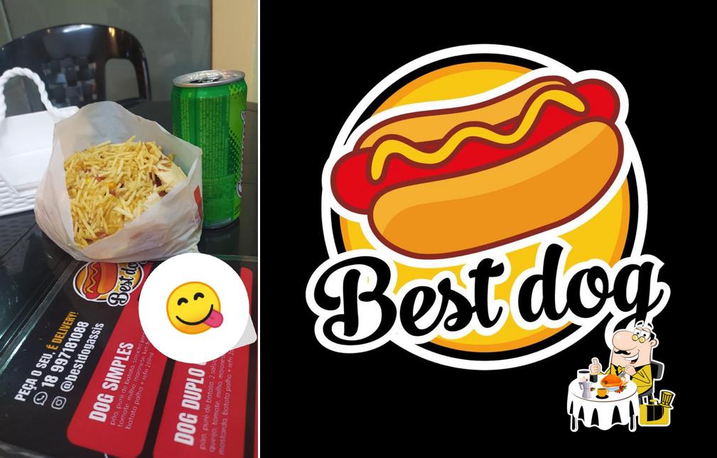 Best Dog