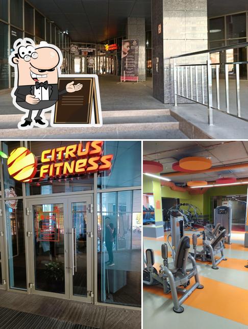Citrus Fitness