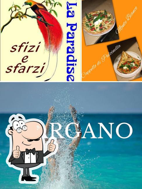 La Paradisea Sfizi e Sfarzi