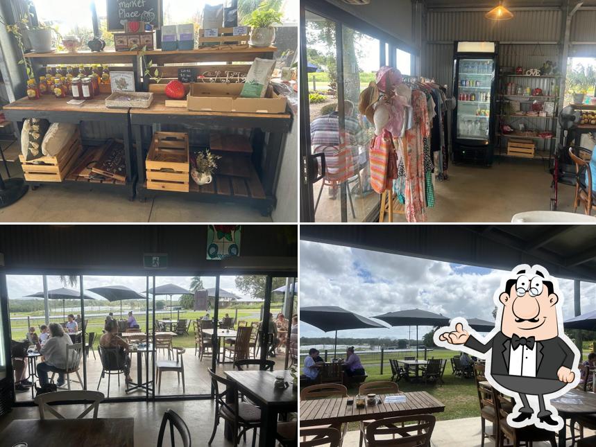 Strawberry View Coffee Shack