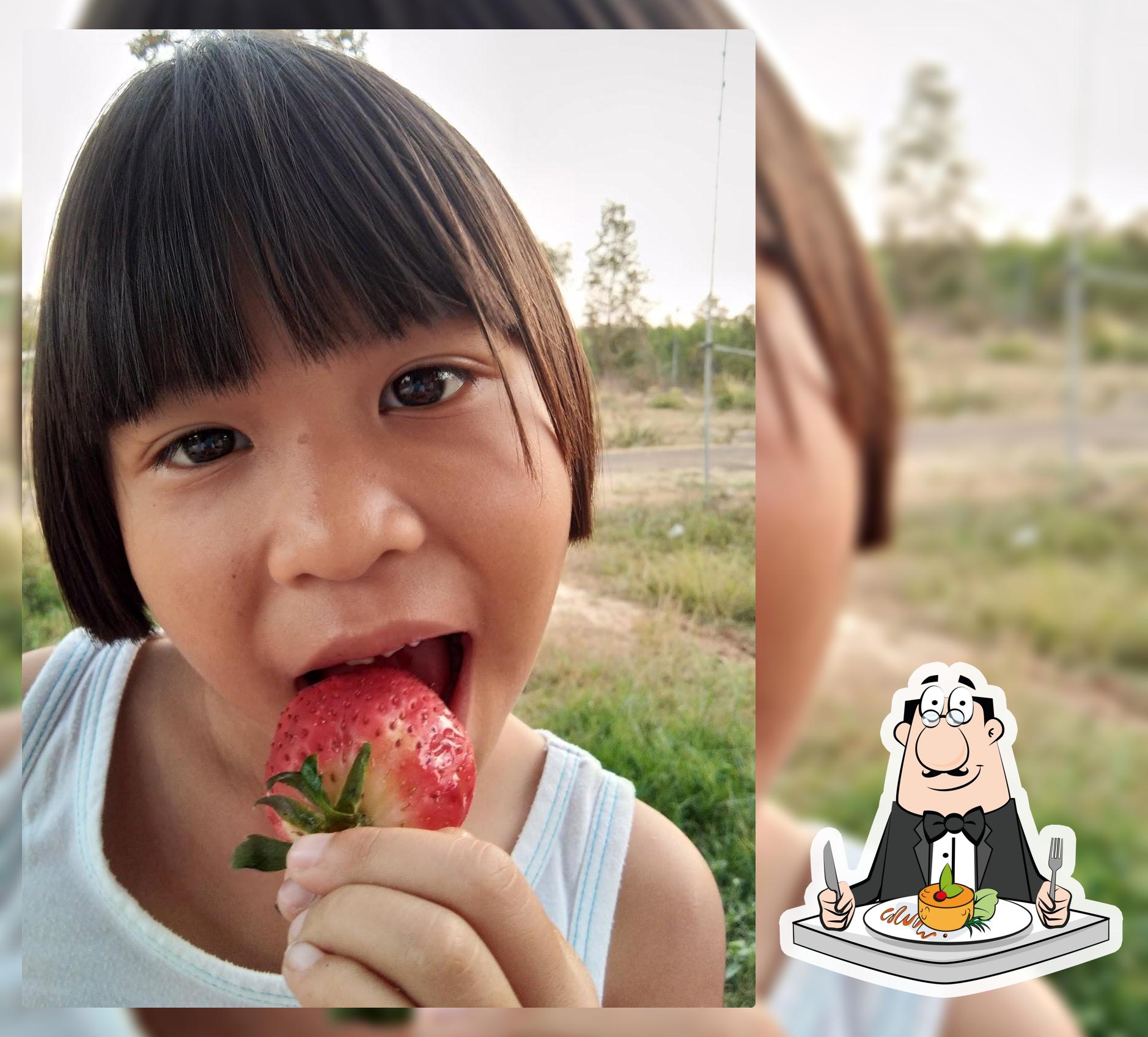 บ้านลานลูกไม้รีสอร์ท