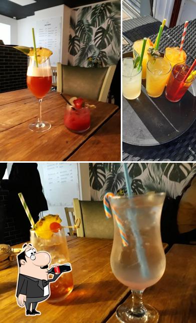 Harper’s Social