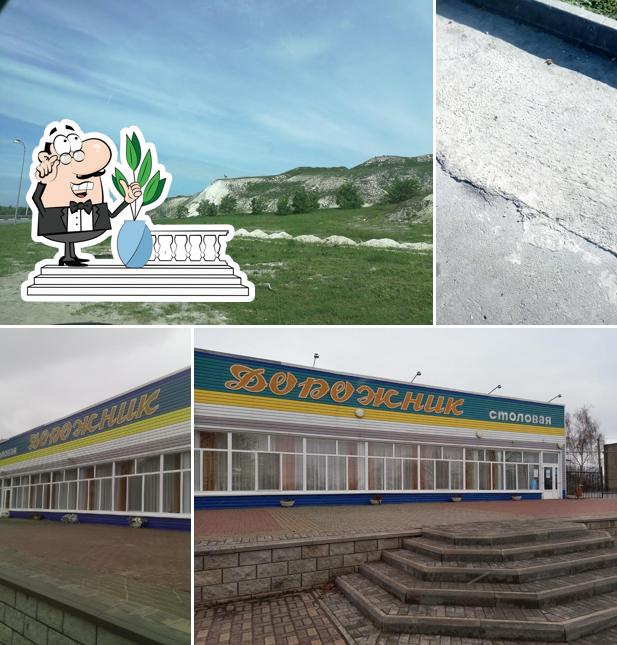 Дорожник