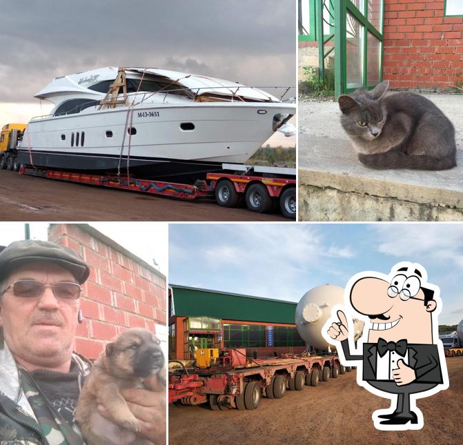 Поплавок
