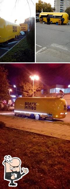 Волки Овцы