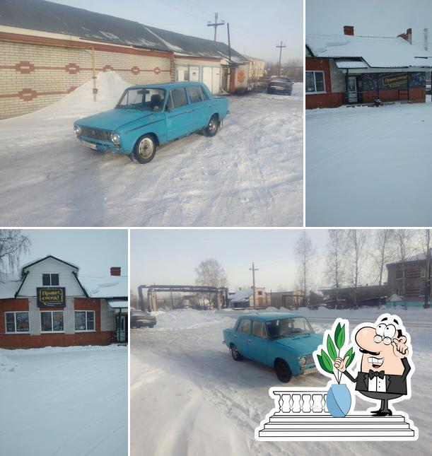 Дельфин