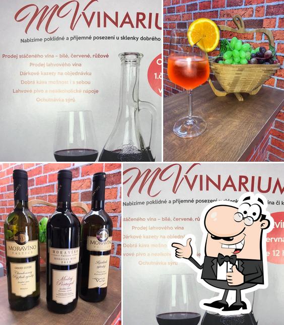 MVvinarium