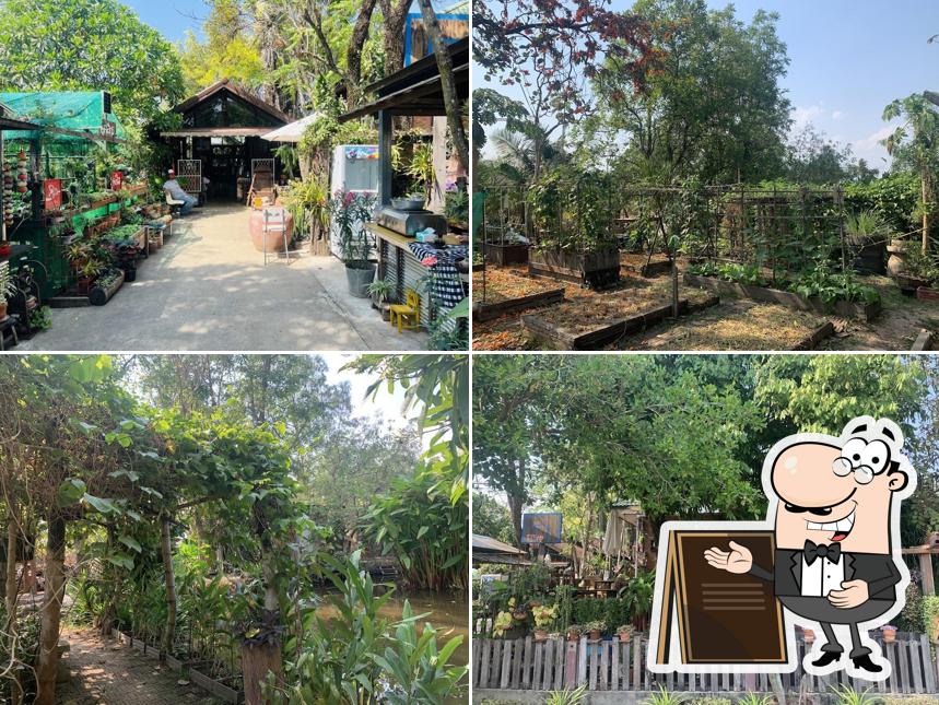 บ้านไรดาว