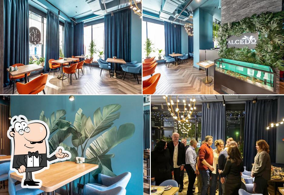 Интерьер "Alcedo"