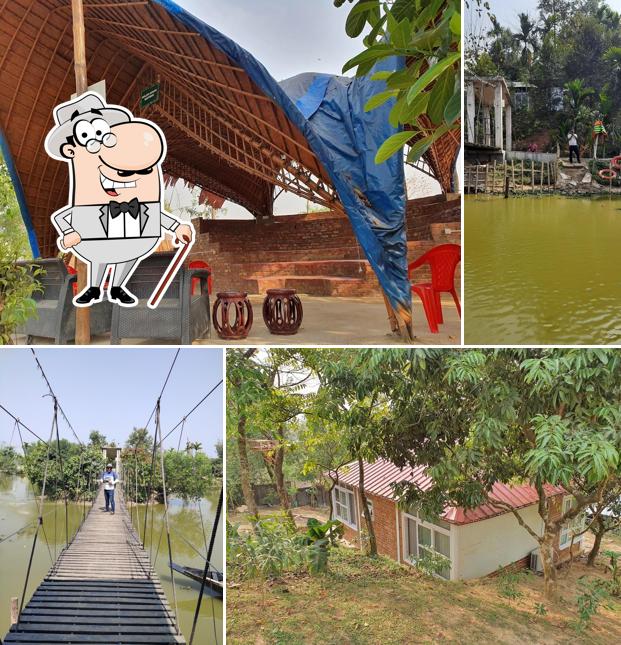 TreeTop Adventure Farm