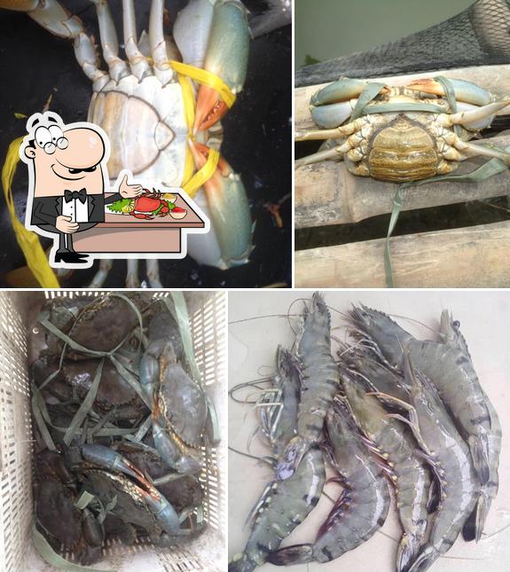 Ibana's Seafood Supply