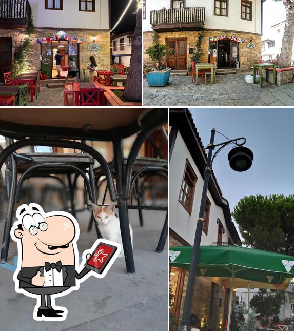 Kokina Restaurant Gökçeada