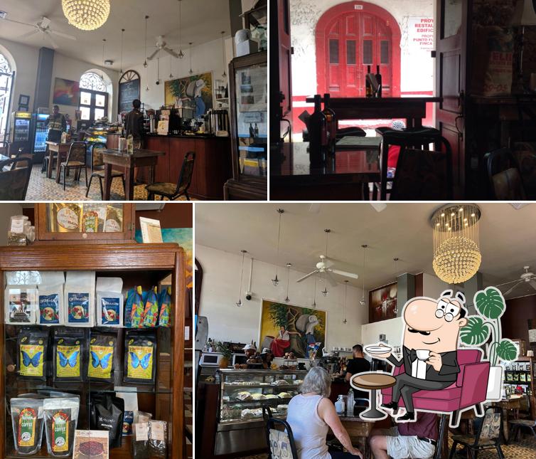 Casa Sucre Coffeehouse