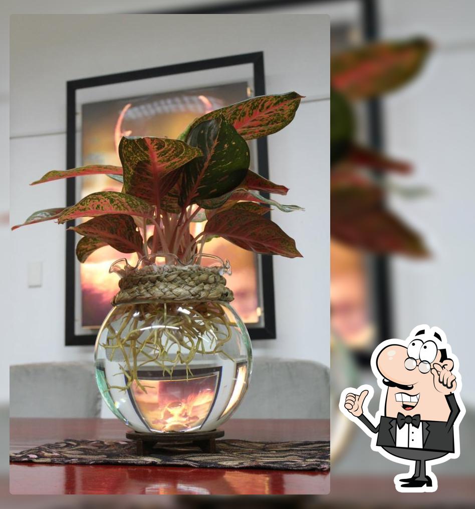 Water Bonsai