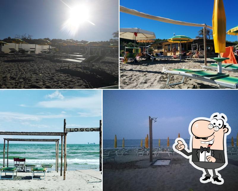 Losco Beach Bar