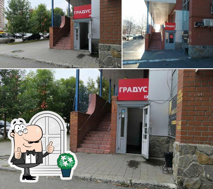 Градус
