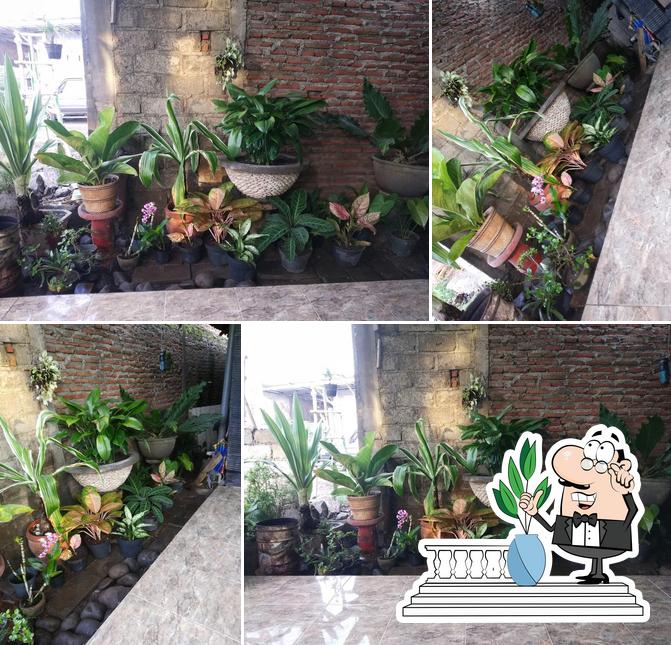 Angkringan kontjo kembang